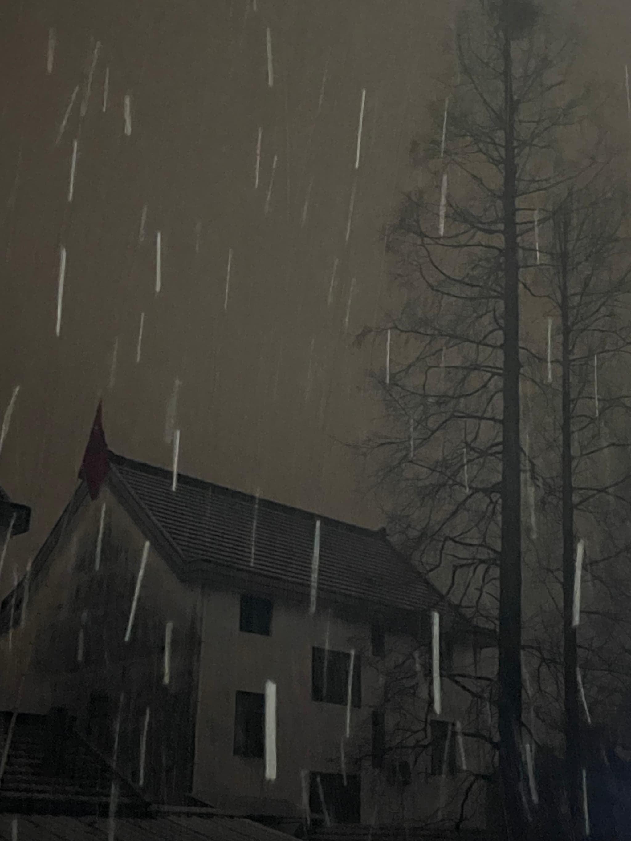 06 2月 26