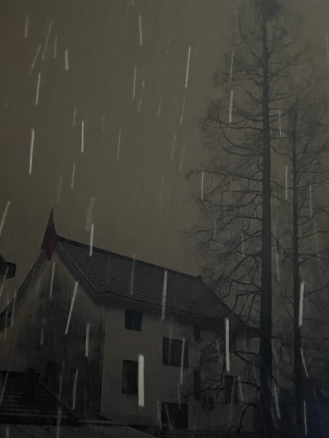06 2月 26